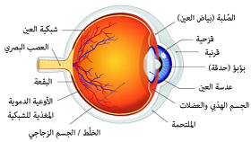 اعتلال الشبكية السكري كتيب