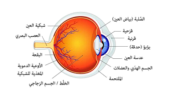 الماء الأبيض